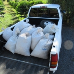 201901 stripping2.jpg